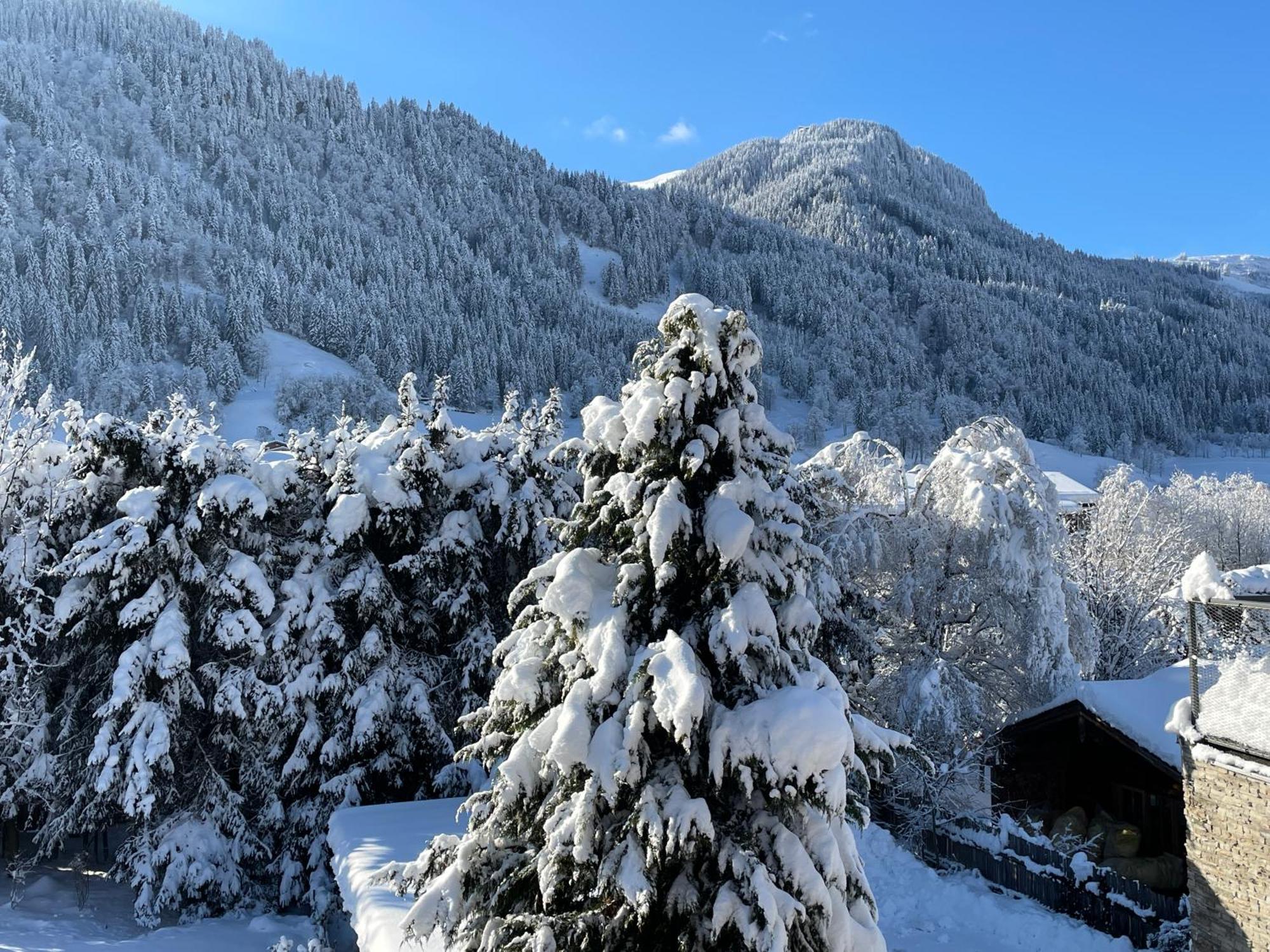 Bacherwiese Penthouse By Alpine Host Helpers Κίτσμπουελ Εξωτερικό φωτογραφία